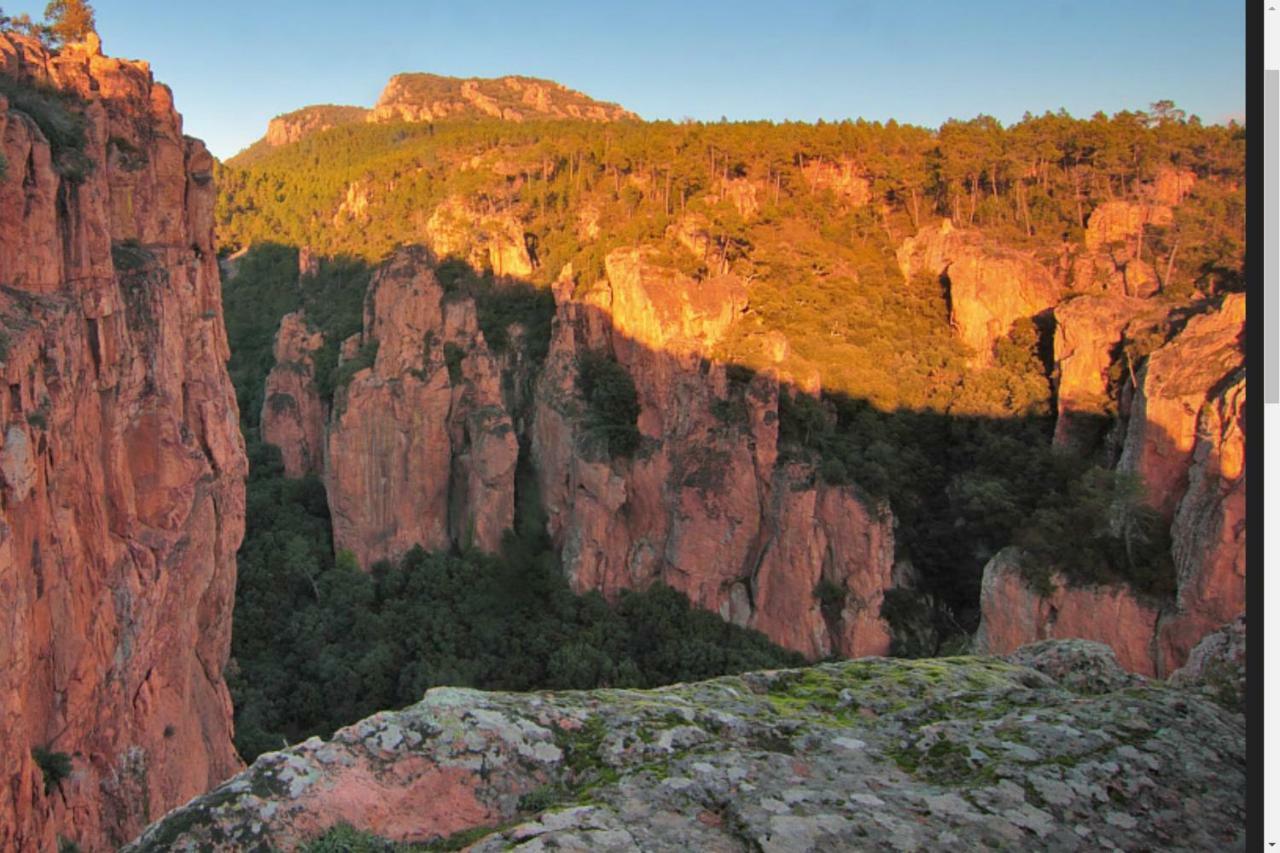 Entre Mer Et Esterel Roquebrune-sur-Argens Eksteriør billede